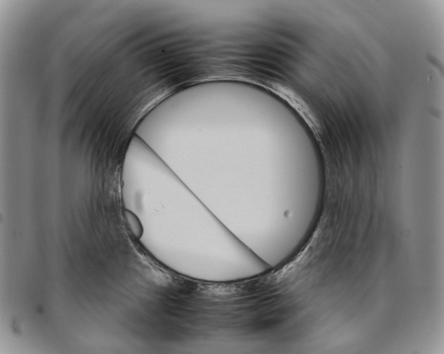 X0000096701241200803041315
