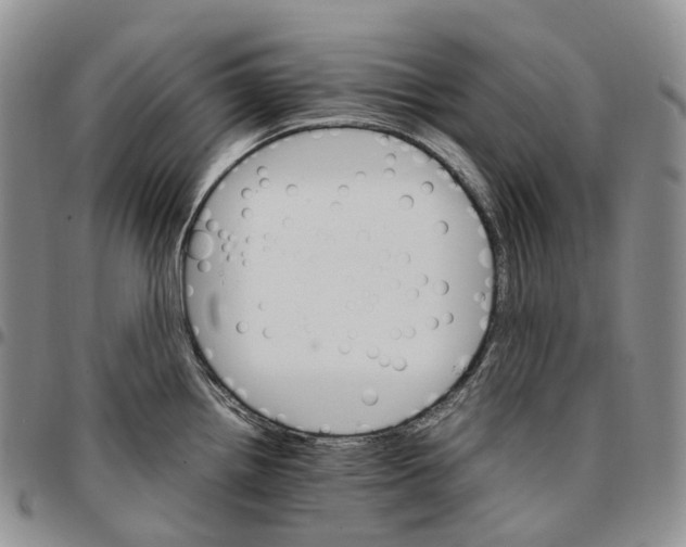 X0000096701242200803041315