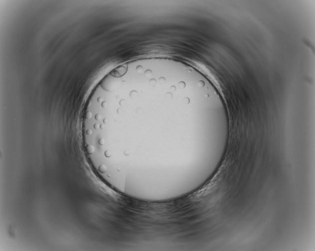 X0000096701243200803041315