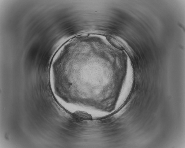 X0000096701244200803041315