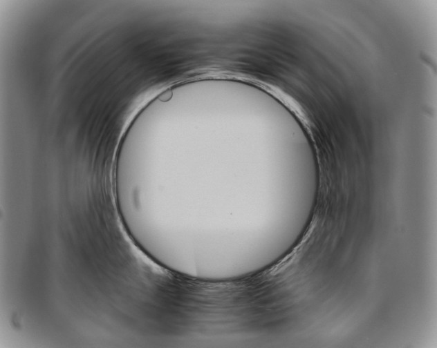 X0000096701247200803041315