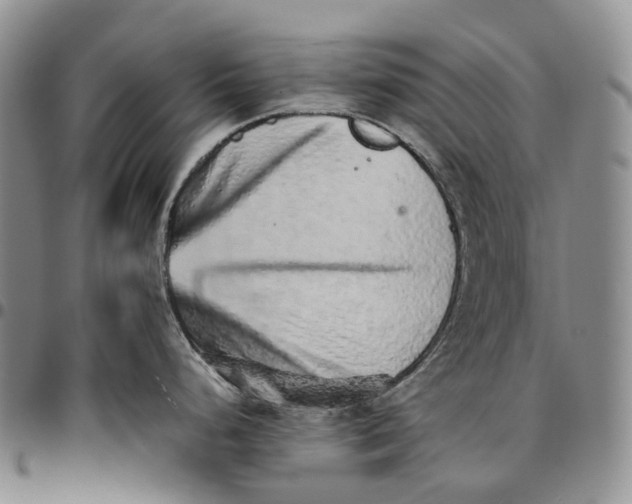 X0000096701248200803041315