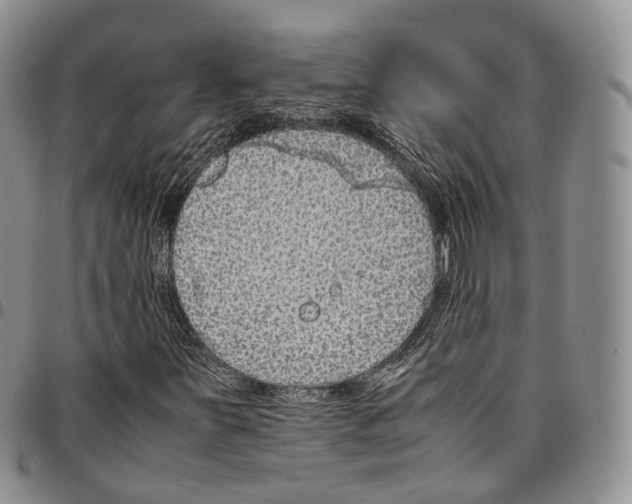 X0000096701251200803041314