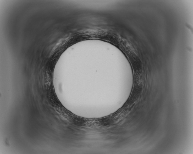 X0000096701253200803041314