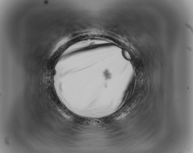 X0000096701255200803041314