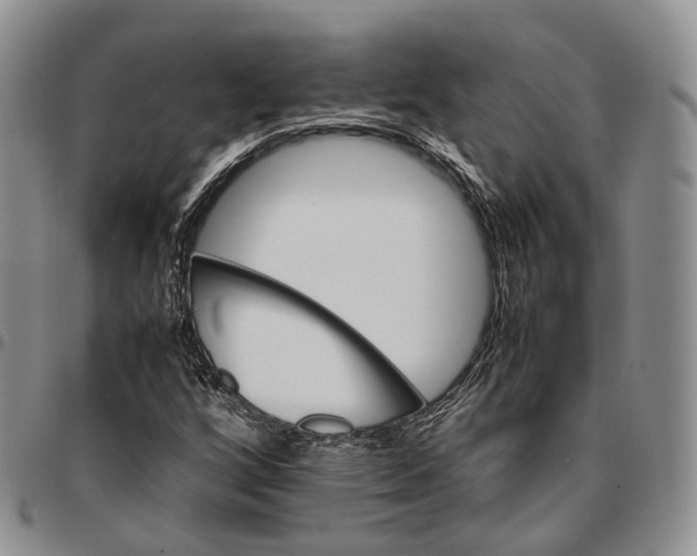 X0000096701256200803041314