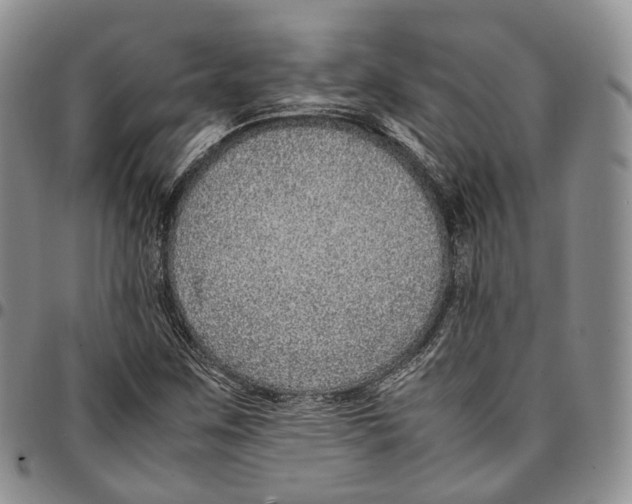 X0000096701259200803041314