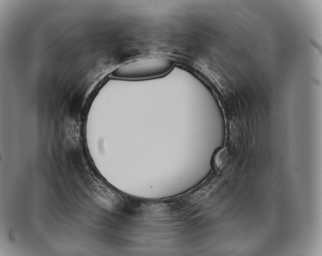 X0000096701260200803041314