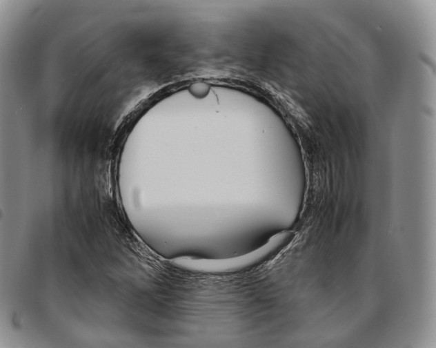 X0000096701262200803041314