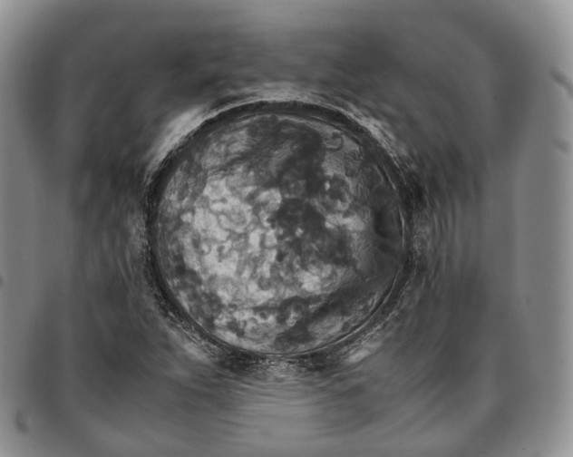 X0000096701263200803041314