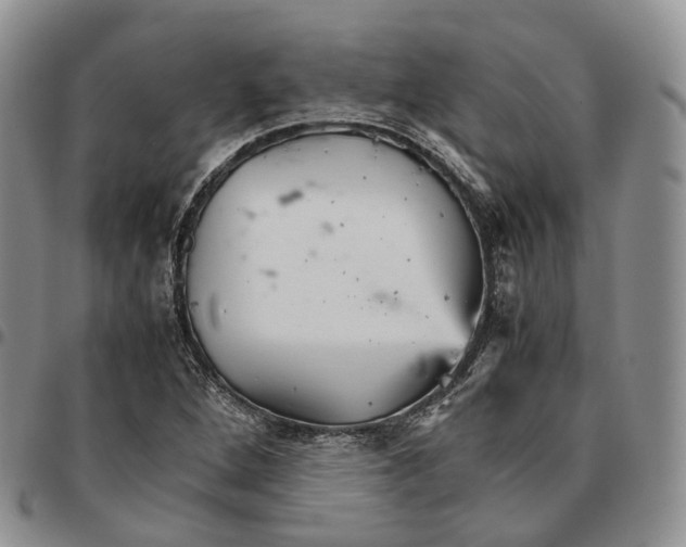 X0000096701264200803041314