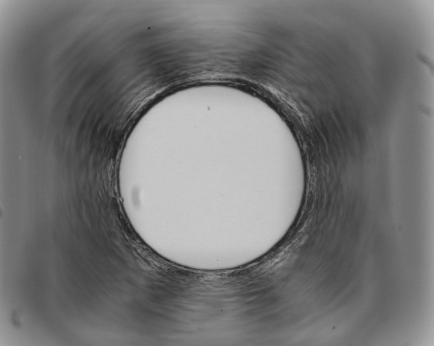 X0000096701265200803041314