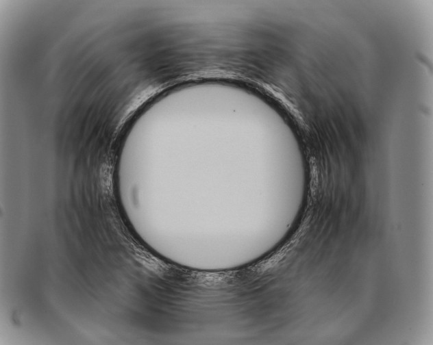 X0000096701266200803041314