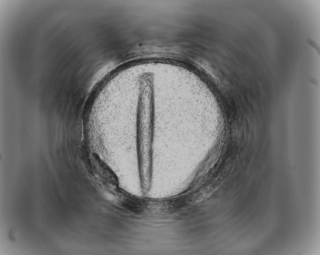 X0000096701267200803041314