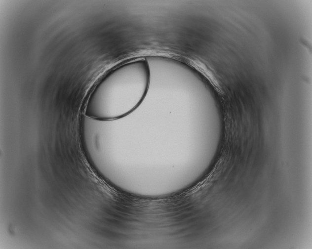 X0000096701268200803041314
