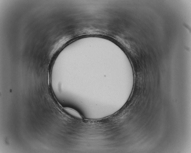 X0000096701269200803041314