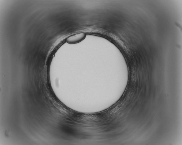 X0000096701270200803041314