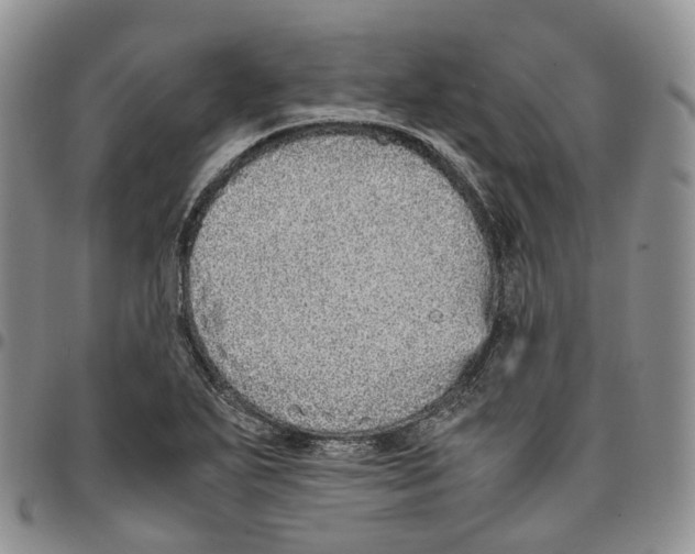 X0000096701271200803041314