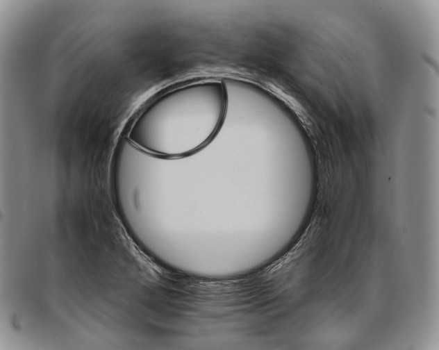 X0000096701272200803041314