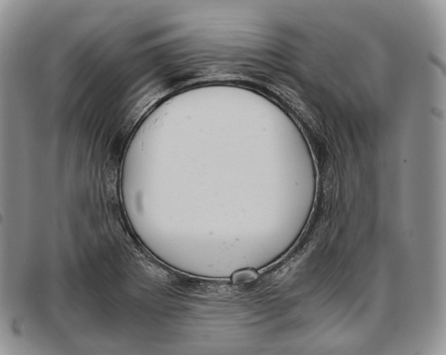 X0000096701273200803041314