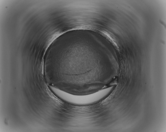 X0000096701276200803041314