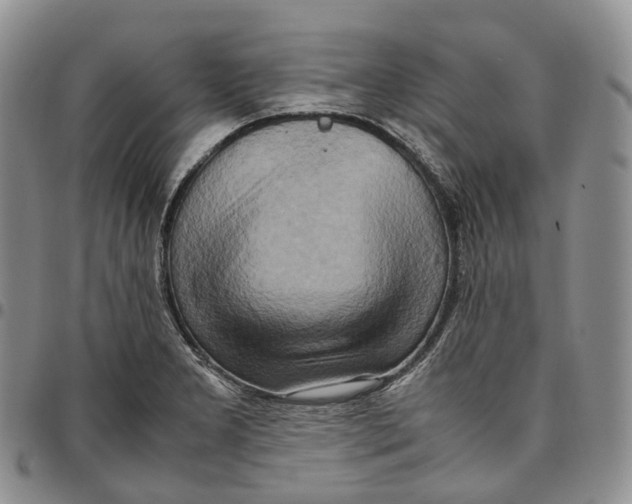 X0000096701277200803041314