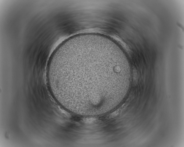 X0000096701278200803041314