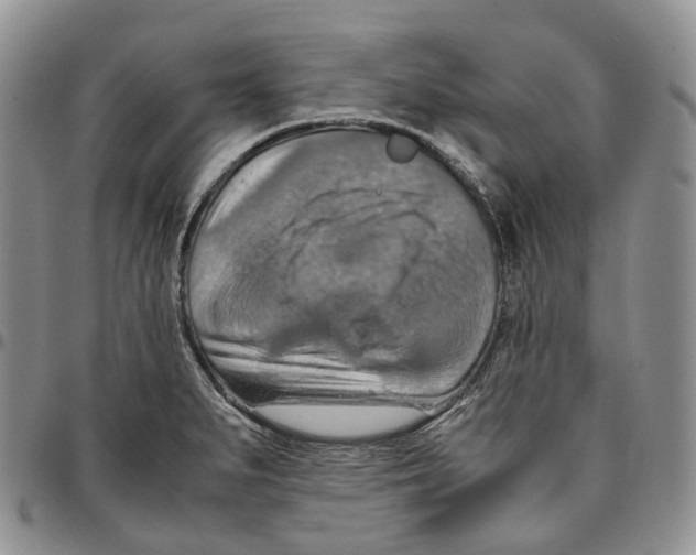 X0000096701279200803041314