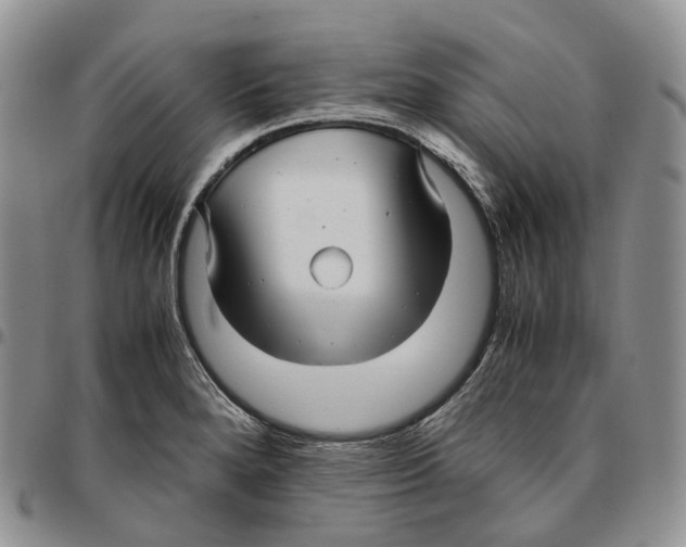 X0000096701280200803041314