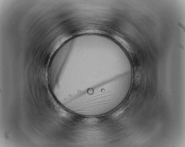 X0000096701282200803041314
