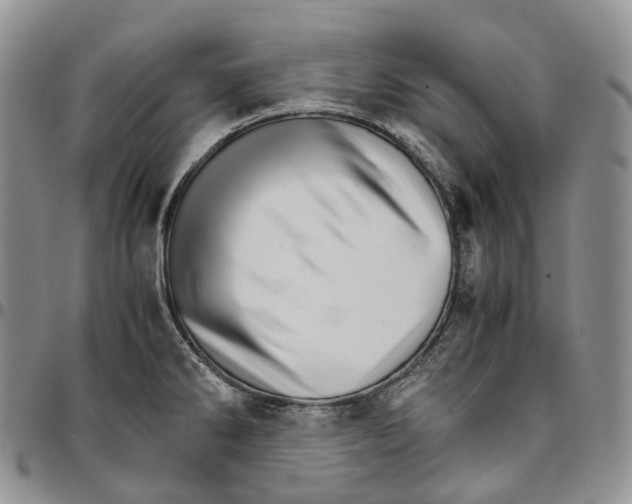 X0000096701286200803041314