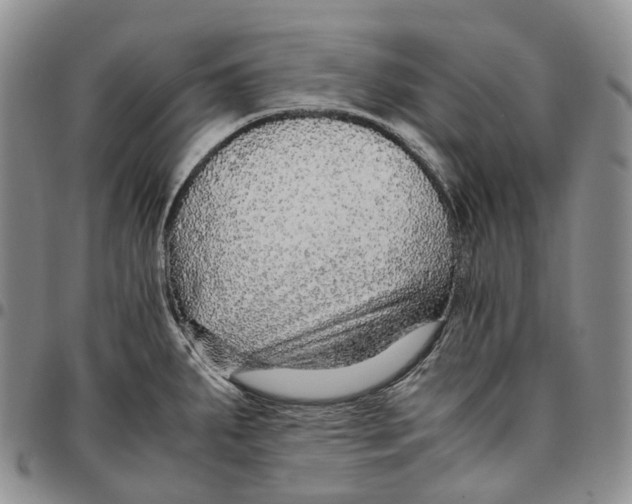 X0000096701287200803041314