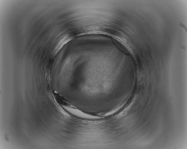 X0000096701289200803041314