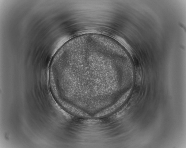 X0000096701290200803041314