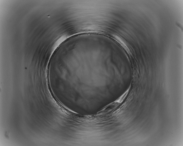 X0000096701291200803041314