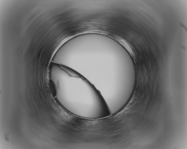 X0000096701292200803041314