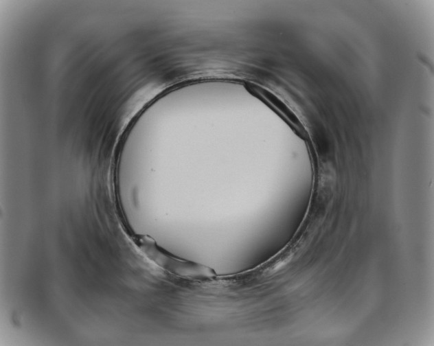 X0000096701293200803041314