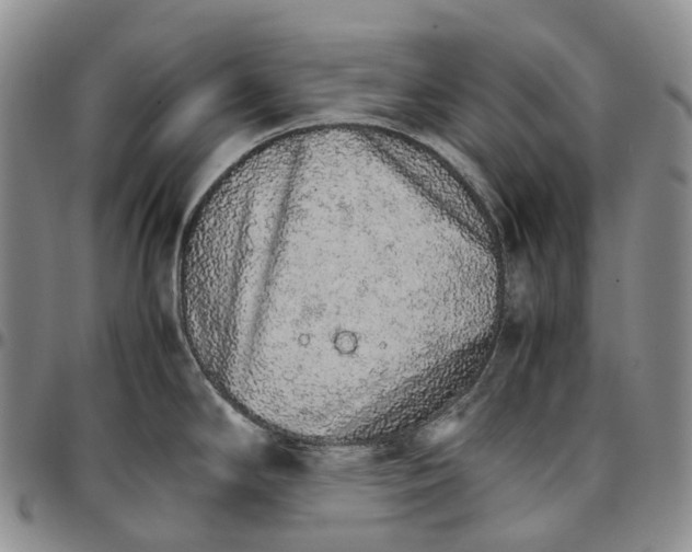 X0000096701294200803041314