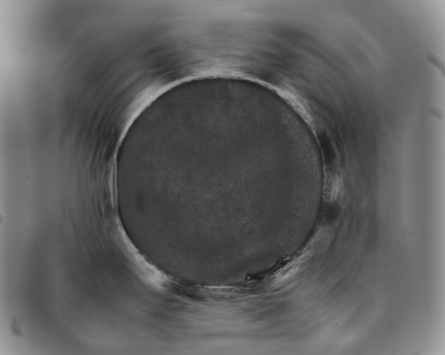 X0000096701295200803041314