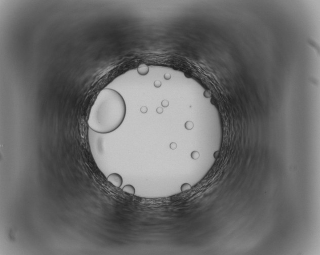 X0000096701301200803041313