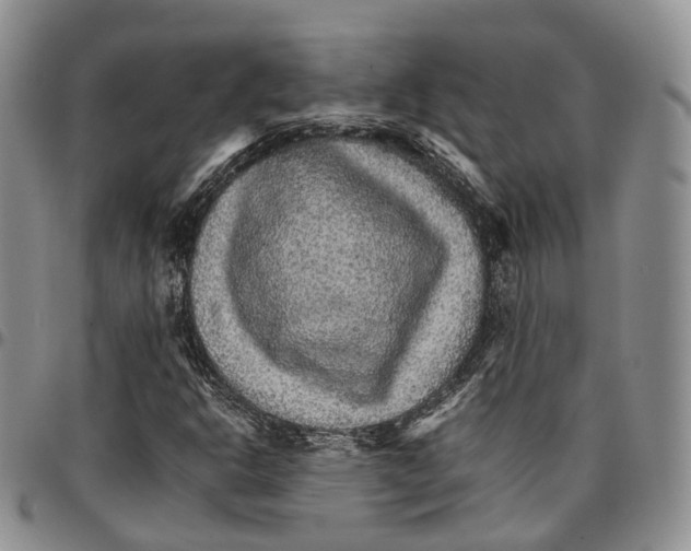 X0000096701302200803041313