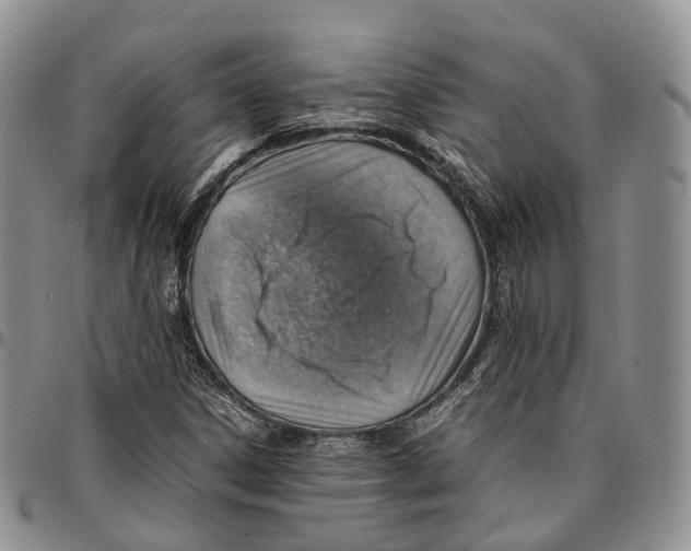 X0000096701306200803041313