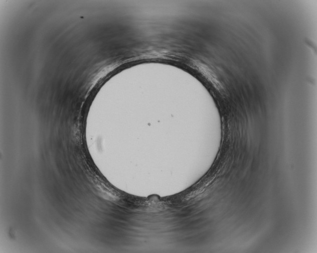 X0000096701308200803041313