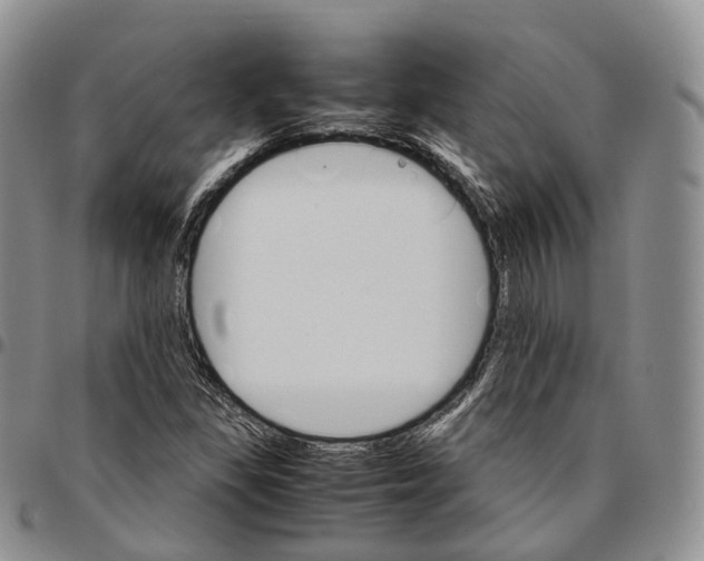 X0000096701309200803041313