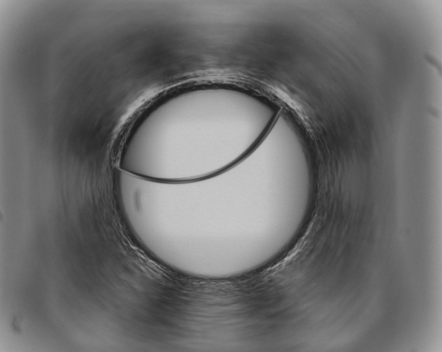 X0000096701310200803041313