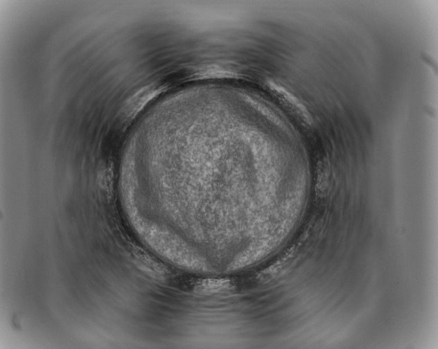 X0000096701313200803041313