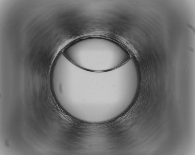 X0000096701316200803041313