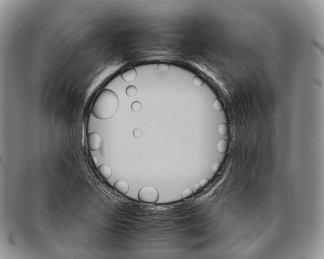 X0000096701317200803041313