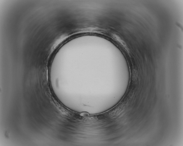 X0000096701320200803041313