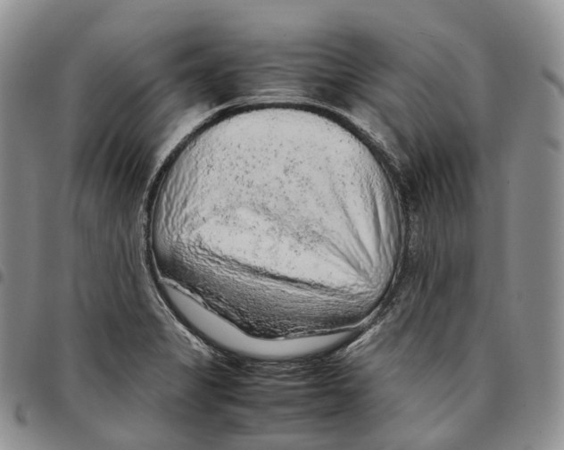 X0000096701325200803041313